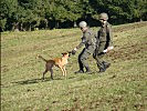 Militärpolizisten und ein Schutzhund unterstützten die Übung.