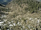 Der Orkan 'Kyrill' fegte über das Land und verursachte enorme Waldschäden im Quellschutzgebiet.