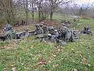 350 Soldaten trainieren 2008 in Amstetten und Allentsteig. (Bild öffnet sich in einem neuen Fenster)