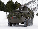 Die "Pandur"-Panzer des Jägerbataillons 17 bewähren sich auch im Gebirge. (Bild öffnet sich in einem neuen Fenster)