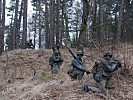 Die Soldaten gehen im Wald vor. (Bild öffnet sich in einem neuen Fenster)