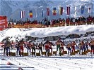 Massenstart der 22 Mannschaften zur Biathlon-Staffel. (Bild öffnet sich in einem neuen Fenster)