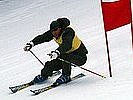 Ski alpin. (Bild öffnet sich in einem neuen Fenster)