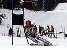 Ski alpin. (Bild öffnet sich in einem neuen Fenster)