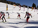 Start zum Biathlon Staffelbewerb II. (Bild öffnet sich in einem neuen Fenster)