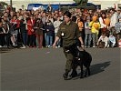 Die Hundestaffel aus Kaisersteinbruch bei einer Vorführung ihres Könnens. (Bild öffnet sich in einem neuen Fenster)