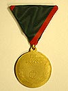 Verwundetenmedaille 1. Klasse. (Bild öffnet sich in einem neuen Fenster)