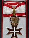 Großes Goldenes Ehrenzeichen für Verdienste um die Republik Österreich. (Bild öffnet sich in einem neuen Fenster)