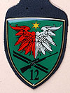 Jägerregiment 12. (Bild öffnet sich in einem neuen Fenster)