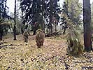 13.11.: Getarnte Scharfschützen. (Bild öffnet sich in einem neuen Fenster)