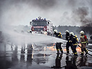 11.4.: Firefighter des Heeres trainieren. (Bild öffnet sich in einem neuen Fenster)