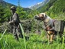 12.6.: Ein Soldat und sein Haflinger transportieren Nachschub im Gebirge. (Bild öffnet sich in einem neuen Fenster)