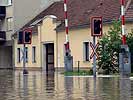 Donauwasser in Fischamend/NÖ. (Bild öffnet sich in einem neuen Fenster)