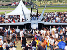 F-18 Hornet. (Bild öffnet sich in einem neuen Fenster)