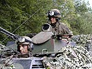 Schützenpanzer. (Bild öffnet sich in einem neuen Fenster)