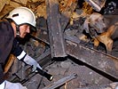 Iran 2003: Suche nach den Verschütteten. (Bild öffnet sich in einem neuen Fenster)