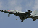 F-5 E Tiger II. (Bild öffnet sich in einem neuen Fenster)