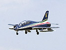 Frecce Tricolori. (Bild öffnet sich in einem neuen Fenster)