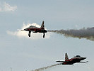 Patrouille Suisse. (Bild öffnet sich in einem neuen Fenster)