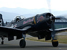 Chance Vought F4U-4 Corsair. (Bild öffnet sich in einem neuen Fenster)