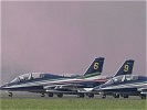 Frecce Tricolori. (Bild öffnet sich in einem neuen Fenster)