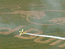 Air Race, das Training. (Bild öffnet sich in einem neuen Fenster)