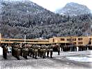 Akustische Umrahmung durch die Militärmusik des Militärkommandos Tirol. (Bild öffnet sich in einem neuen Fenster)