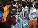 Die leeren Flaschen der Soldaten werden zum Transport des Wasser genutzt. (Bild öffnet sich in einem neuen Fenster)