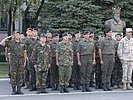 Österreicher in der Brigade - ein schweizerischer Oberst als Kommandant. (Bild öffnet sich in einem neuen Fenster)