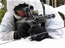 Wahrnehmung infanteristischer Aufgaben im hochalpinen Gelände. (Bild öffnet sich in einem neuen Fenster)