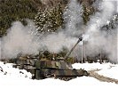 ...kommandiert das Gebirgspanzerartillerie -bataillon 225. (Bild öffnet sich in einem neuen Fenster)