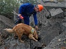 Suchhunde kommen zum Einsatz. (Bild öffnet sich in einem neuen Fenster)