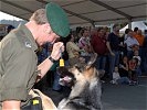 Wenig später dürfen die Hunde... (Bild öffnet sich in einem neuen Fenster)