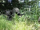 Taktisches Können gefragt: Ein gut getarnter Soldat. (Bild öffnet sich in einem neuen Fenster)