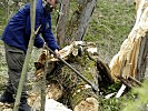 Seine Bürger müssen Nahrung und Holz stehlen, um zu überleben. (Bild öffnet sich in einem neuen Fenster)