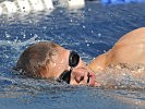 Hindernisschwimmen... (Bild öffnet sich in einem neuen Fenster)