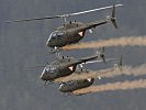 Auf der AirPower09 gaben die "Jet Ranger" ihre Abschiedsvorstellung.