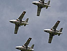 Im Verband ziehen diese Flieger... (Bild öffnet sich in einem neuen Fenster)