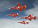 Von 2004 bis Juni 2008 sicherten die Jets auch den heimischen Luftraum. (Bild öffnet sich in einem neuen Fenster)