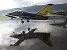 Auf der regennassen Landebahn ist die Silhouette des Jets gut zu erkennen. (Bild öffnet sich in einem neuen Fenster)