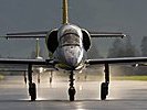 Der L-39 "Albatros" ist eine tschechische Maschine. (Bild öffnet sich in einem neuen Fenster)