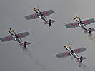 Die Flying Bulls verwenden diese Maschinen seit 1992. (Bild öffnet sich in einem neuen Fenster)