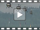 Parade der Flaggen durch diverse Helikopter (1)
