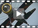 Flying Bulls