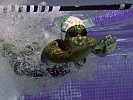 Ausdauer ist ein wesentlicher Bestandteil beim Schwimmen. (Bild öffnet sich in einem neuen Fenster)
