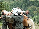 Die Haflinger-Tragtiere werden beladen. (Bild öffnet sich in einem neuen Fenster)