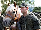 Auch die Haflinger-Tragtiere sind mit dabei. (Bild öffnet sich in einem neuen Fenster)