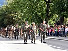 Haflinger des Tragtierzentrums Hochfilzen waren zur Versorgung eingesetzt. (Bild öffnet sich in einem neuen Fenster)
