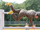 Manchmal glaubt man die Sportler wären schwerelos. (Bild öffnet sich in einem neuen Fenster)