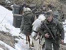 Zur Versorgung der Soldaten im Gebirge werden sowohl Haflinger... (Bild öffnet sich in einem neuen Fenster)